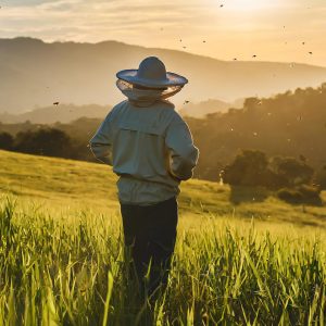 A beekeeper looks out across the meadow as he looks for prime locations for his hives.