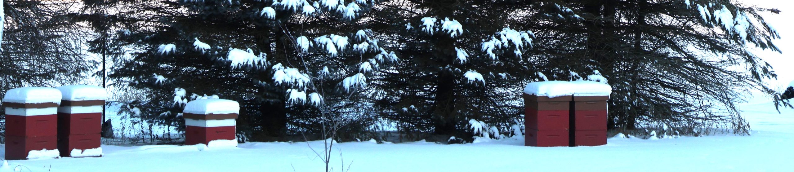 May is a great time to begin preparing your hives for colony overwintering.