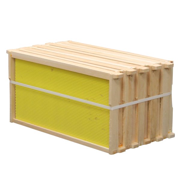 Frame - Deep Assembled with Double Waxed Yellow Plastic Foundation Grooved Top B