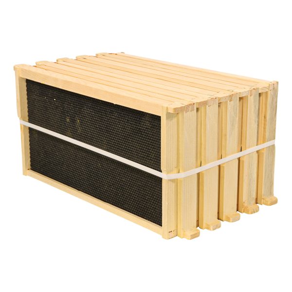 Frame - Deep Assembled with Single Waxed Black Plastic Foundation Grooved Top Ba