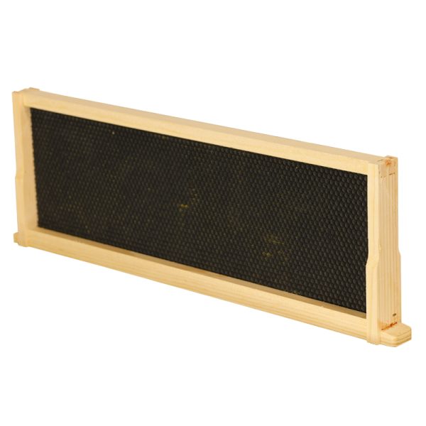 Frame - Medium Assembled with Double Waxed Black  Plastic Foundation Grooved Top