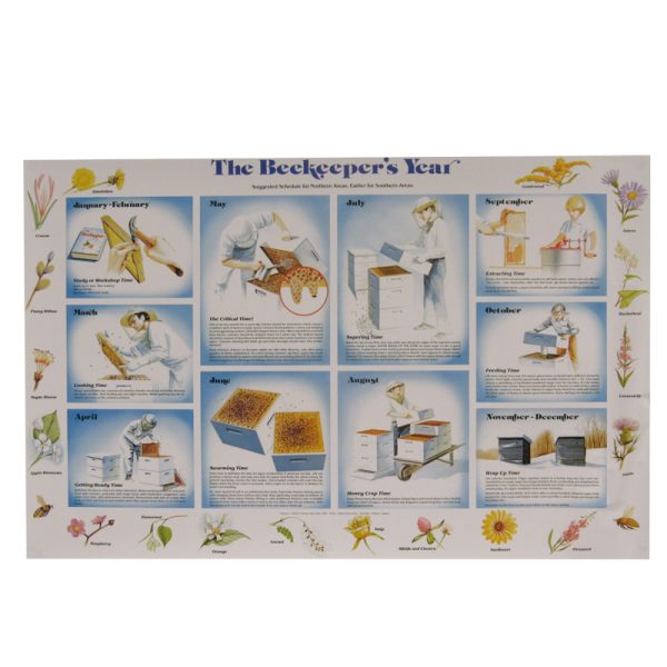 Poster-Beekeeper's Year Chart