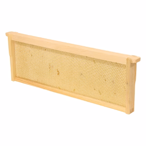 Frame - Medium Assembled with Double Waxed White  Plastic Foundation Grooved Top