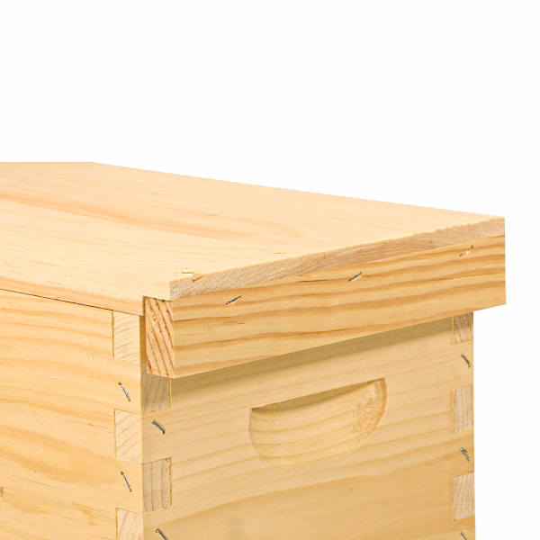 Economy Nuc - Lid Assembled Commercial 5-frame - Image 4