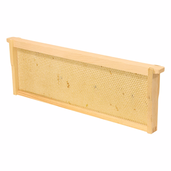 Frame - Medium Assembled with Double Waxed White  Plastic Foundation Grooved Top