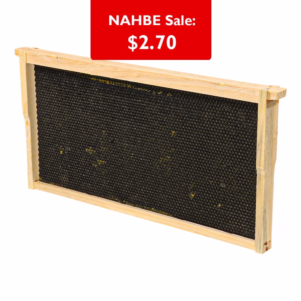 Frame - Deep Assembled with Single Waxed Black Plastic Foundation Grooved Top Ba