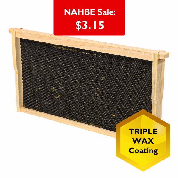 Frame - Deep Assembled with Triple Waxed Black Plastic Foundation Grooved Top Ba