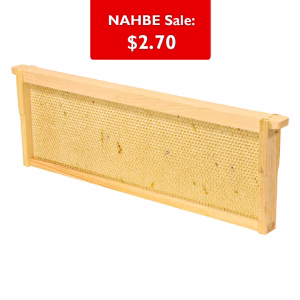 Frame - Medium Assembled with Double Waxed White  Plastic Foundation Grooved Top